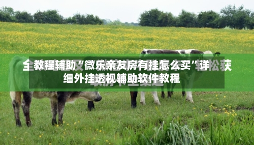 教程辅助“微乐亲友房有挂怎么买”详细外挂透视辅助软件教程-第1张图片