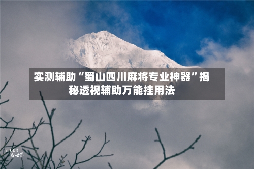 实测辅助“蜀山四川麻将专业神器”揭秘透视辅助万能挂用法-第3张图片