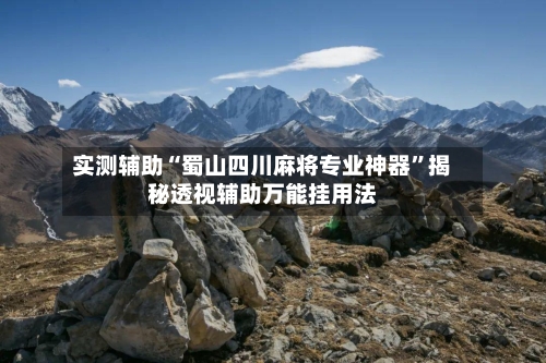实测辅助“蜀山四川麻将专业神器	”揭秘透视辅助万能挂用法-第1张图片
