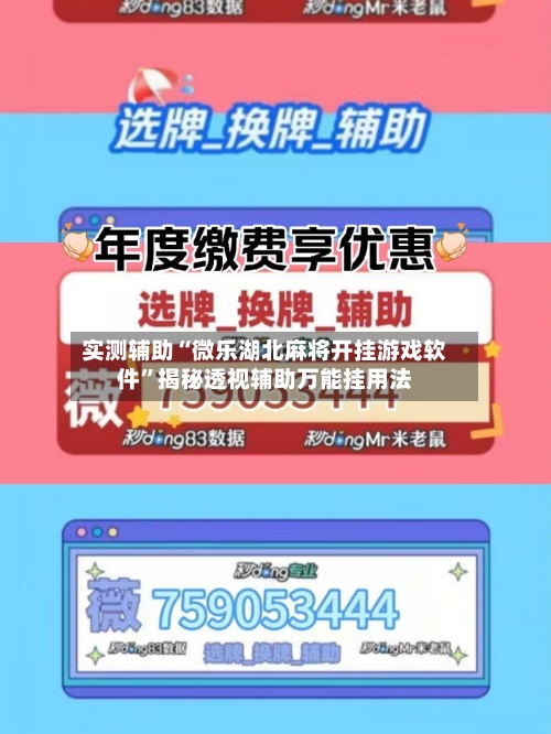 实测辅助“微乐湖北麻将开挂游戏软件”揭秘透视辅助万能挂用法-第1张图片