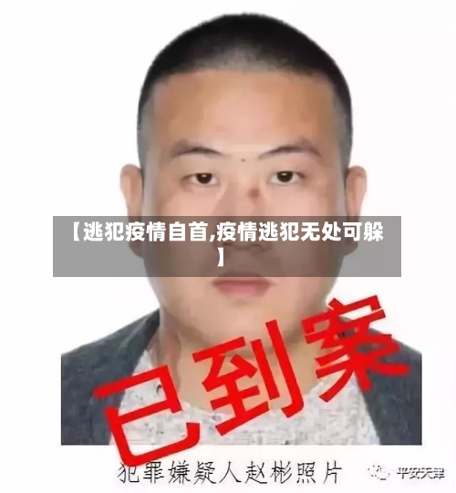 【逃犯疫情自首,疫情逃犯无处可躲】-第1张图片