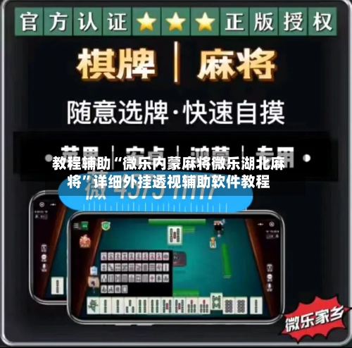 教程辅助“微乐内蒙麻将微乐湖北麻将”详细外挂透视辅助软件教程-第2张图片