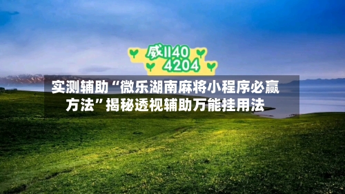 实测辅助“微乐湖南麻将小程序必赢方法”揭秘透视辅助万能挂用法-第2张图片