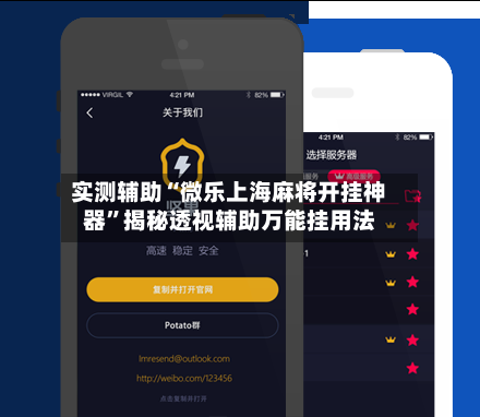 实测辅助“微乐上海麻将开挂神器”揭秘透视辅助万能挂用法-第2张图片
