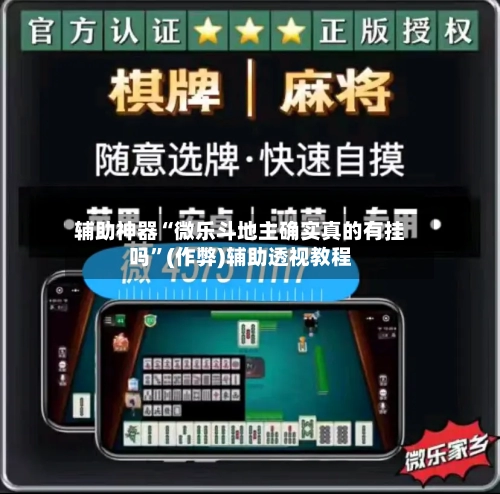 辅助神器“微乐斗地主确实真的有挂吗”(作弊)辅助透视教程-第2张图片