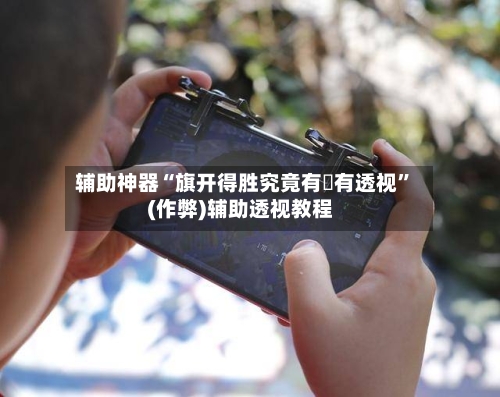 辅助神器“旗开得胜究竟有沒有透视	”(作弊)辅助透视教程-第3张图片