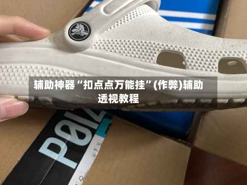 辅助神器“扣点点万能挂	”(作弊)辅助透视教程-第3张图片