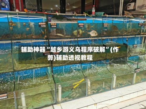 辅助神器“越乡游义乌程序破解	”(作弊)辅助透视教程-第1张图片
