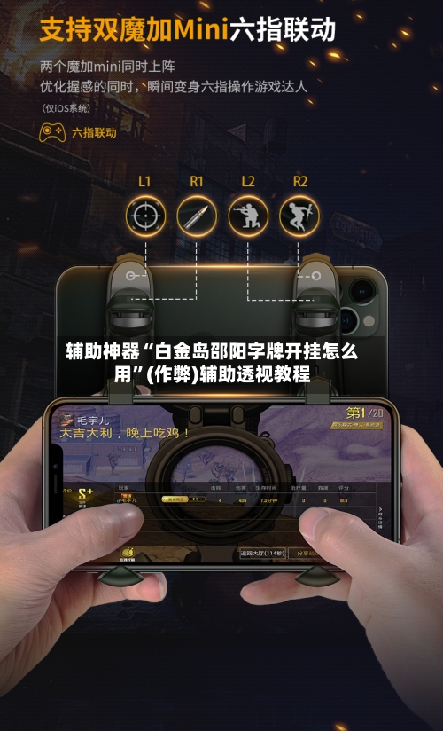 辅助神器“白金岛邵阳字牌开挂怎么用”(作弊)辅助透视教程-第2张图片