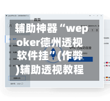 辅助神器“wepoker德州透视软件挂	”(作弊)辅助透视教程-第3张图片