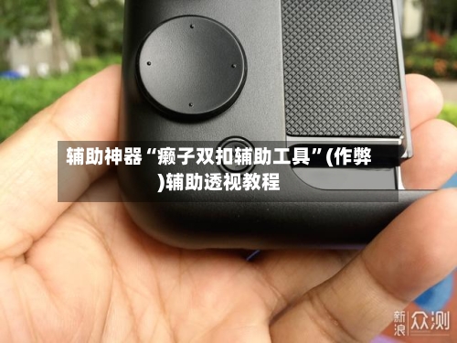 辅助神器“癞子双扣辅助工具	”(作弊)辅助透视教程-第2张图片