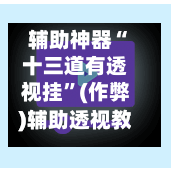 辅助神器“十三道有透视挂	”(作弊)辅助透视教程-第1张图片