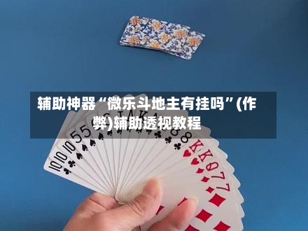 辅助神器“微乐斗地主有挂吗”(作弊)辅助透视教程-第2张图片