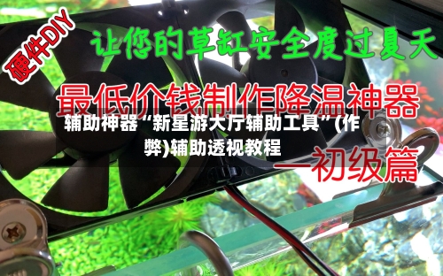 辅助神器“新星游大厅辅助工具	”(作弊)辅助透视教程-第2张图片
