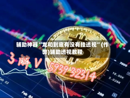 辅助神器“龙和到底有没有挂透视”(作弊)辅助透视教程-第2张图片