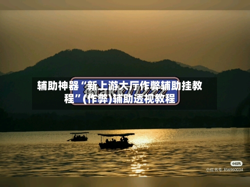 辅助神器“新上游大厅作弊辅助挂教程”(作弊)辅助透视教程-第3张图片