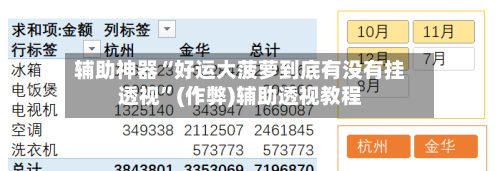 辅助神器“好运大菠萝到底有没有挂透视	”(作弊)辅助透视教程-第1张图片