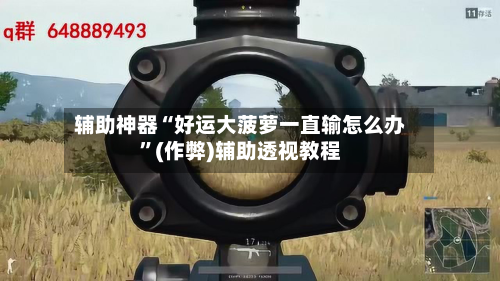 辅助神器“好运大菠萝一直输怎么办”(作弊)辅助透视教程-第1张图片