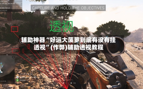 辅助神器“好运大菠萝到底有没有挂透视”(作弊)辅助透视教程-第2张图片