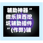 辅助神器“微乐陕西挖坑辅助插件	”(作弊)辅助透视教程-第1张图片