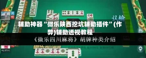 辅助神器“微乐陕西挖坑辅助插件	”(作弊)辅助透视教程-第3张图片