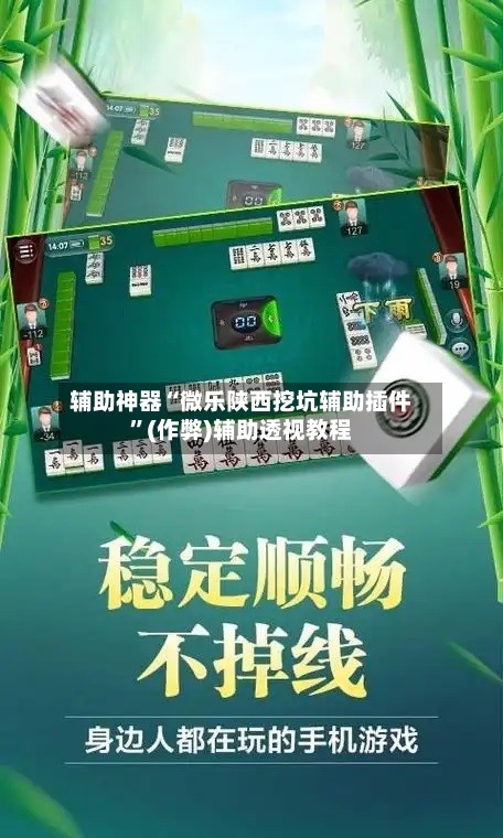 辅助神器“微乐陕西挖坑辅助插件”(作弊)辅助透视教程-第2张图片