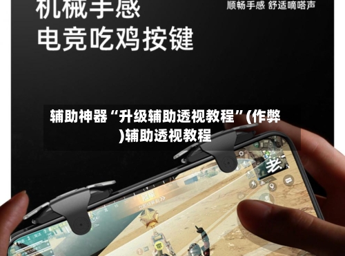 辅助神器“升级辅助透视教程”(作弊)辅助透视教程-第2张图片