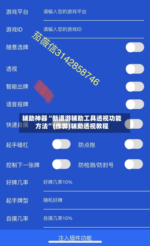 辅助神器“新道游辅助工具透视功能方法”(作弊)辅助透视教程-第2张图片
