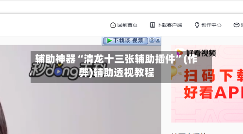 辅助神器“清龙十三张辅助插件”(作弊)辅助透视教程-第2张图片