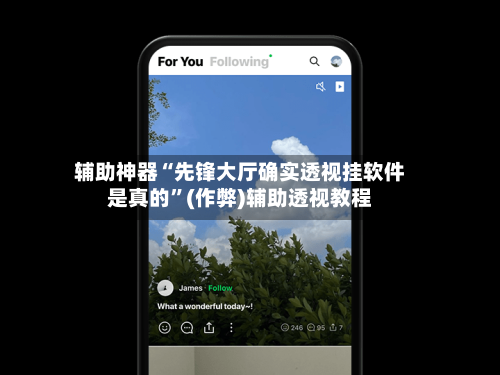辅助神器“先锋大厅确实透视挂软件是真的”(作弊)辅助透视教程-第1张图片