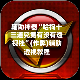 辅助神器“哈狗十三道究竟有没有透视挂	”(作弊)辅助透视教程-第2张图片