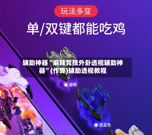 辅助神器“麻辣竞技外卦透视辅助神器	”(作弊)辅助透视教程-第2张图片