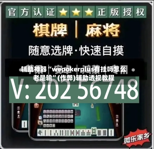 辅助神器“wepokerplus有挂吗怎么老是输”(作弊)辅助透视教程-第2张图片