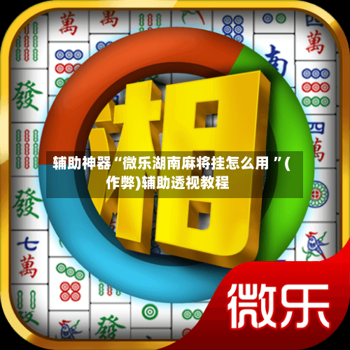辅助神器“微乐湖南麻将挂怎么用 ”(作弊)辅助透视教程-第2张图片