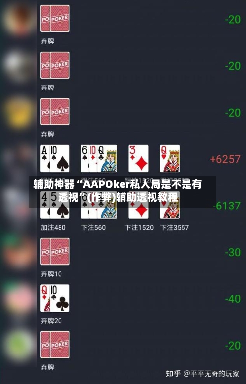 辅助神器“AAPOker私人局是不是有透视”(作弊)辅助透视教程-第1张图片
