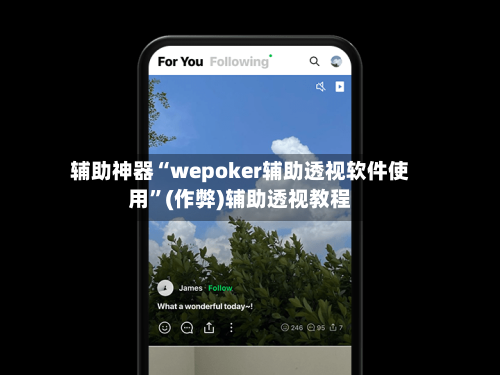 辅助神器“wepoker辅助透视软件使用	”(作弊)辅助透视教程-第3张图片