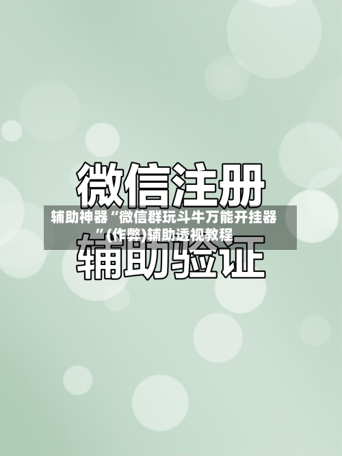 辅助神器“微信群玩斗牛万能开挂器”(作弊)辅助透视教程-第3张图片