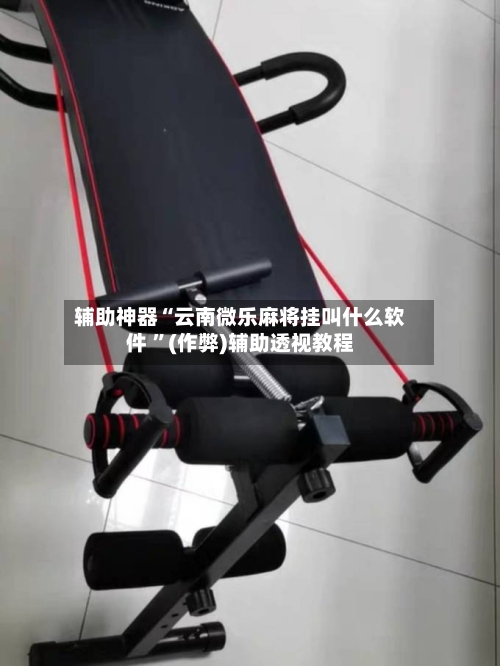 辅助神器“云南微乐麻将挂叫什么软件 ”(作弊)辅助透视教程-第1张图片