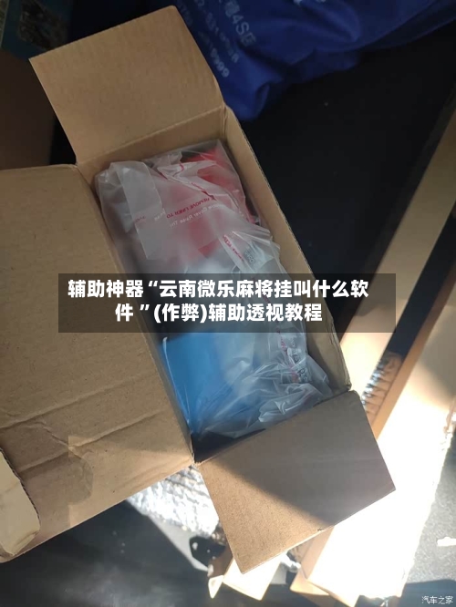 辅助神器“云南微乐麻将挂叫什么软件 	”(作弊)辅助透视教程-第2张图片