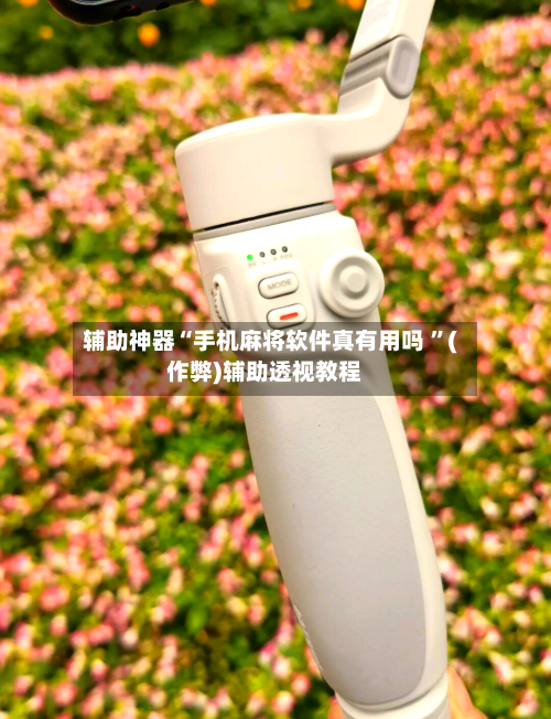 辅助神器“手机麻将软件真有用吗 ”(作弊)辅助透视教程-第1张图片