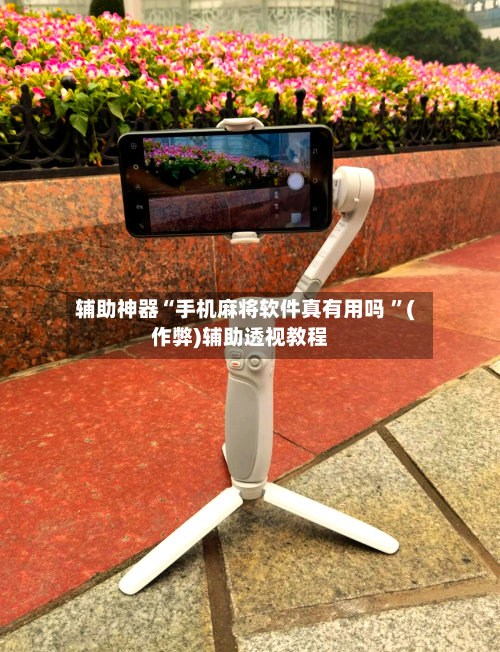 辅助神器“手机麻将软件真有用吗 ”(作弊)辅助透视教程-第3张图片