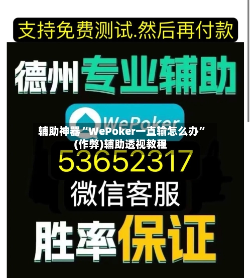 辅助神器“WePoker一直输怎么办”(作弊)辅助透视教程-第3张图片